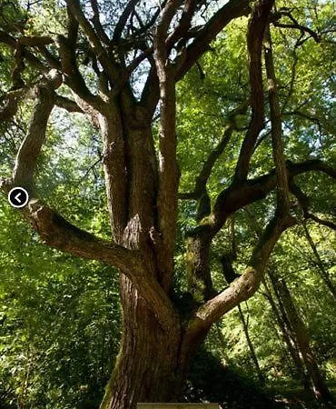 בית נופש La Loussaudrie *